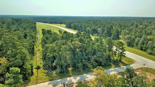 Plantersville null-story, null-bed Lot on Hwy249 & lot 3 & 6 Hwy 249 and Tawnyberry Lane-idx