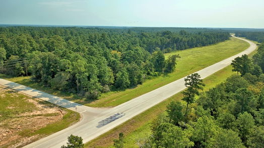 Plantersville null-story, null-bed Lot on Hwy249 & lot 3 & 6 Hwy 249 and Tawnyberry Lane-idx