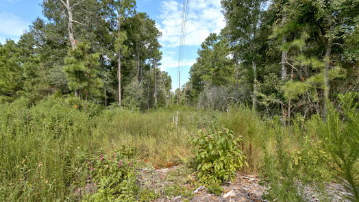 Plantersville null-story, null-bed Lot on Hwy249 & lot 3 & 6 Hwy 249 and Tawnyberry Lane-idx