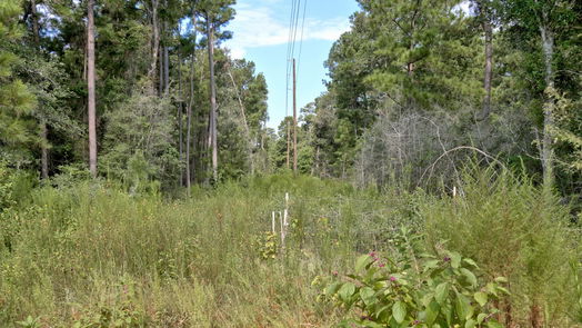 Plantersville null-story, null-bed Lot on Hwy249 & lot 3 & 6 Hwy 249 and Tawnyberry Lane-idx