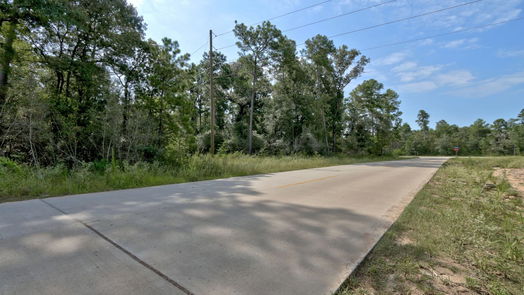 Plantersville null-story, null-bed Lot on Hwy249 & lot 3 & 6 Hwy 249 and Tawnyberry Lane-idx