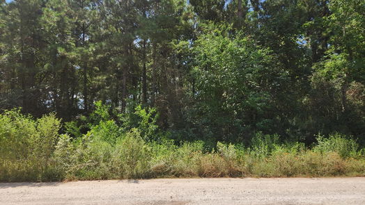 Plantersville null-story, null-bed Lot 5 Tawnyberry Lane-idx