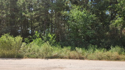 Plantersville null-story, null-bed Lot 5 Tawnyberry Lane-idx