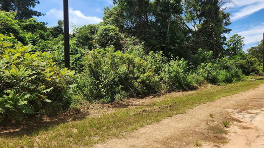 Plantersville null-story, null-bed Lot 27 Mayhaw Lane-idx