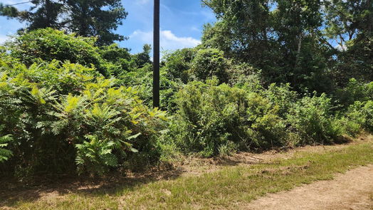 Plantersville null-story, null-bed Lot 27 Mayhaw Lane-idx