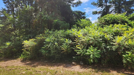 Plantersville null-story, null-bed Lot 27 Mayhaw Lane-idx