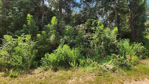 Plantersville null-story, null-bed Lot 27 Mayhaw Lane-idx