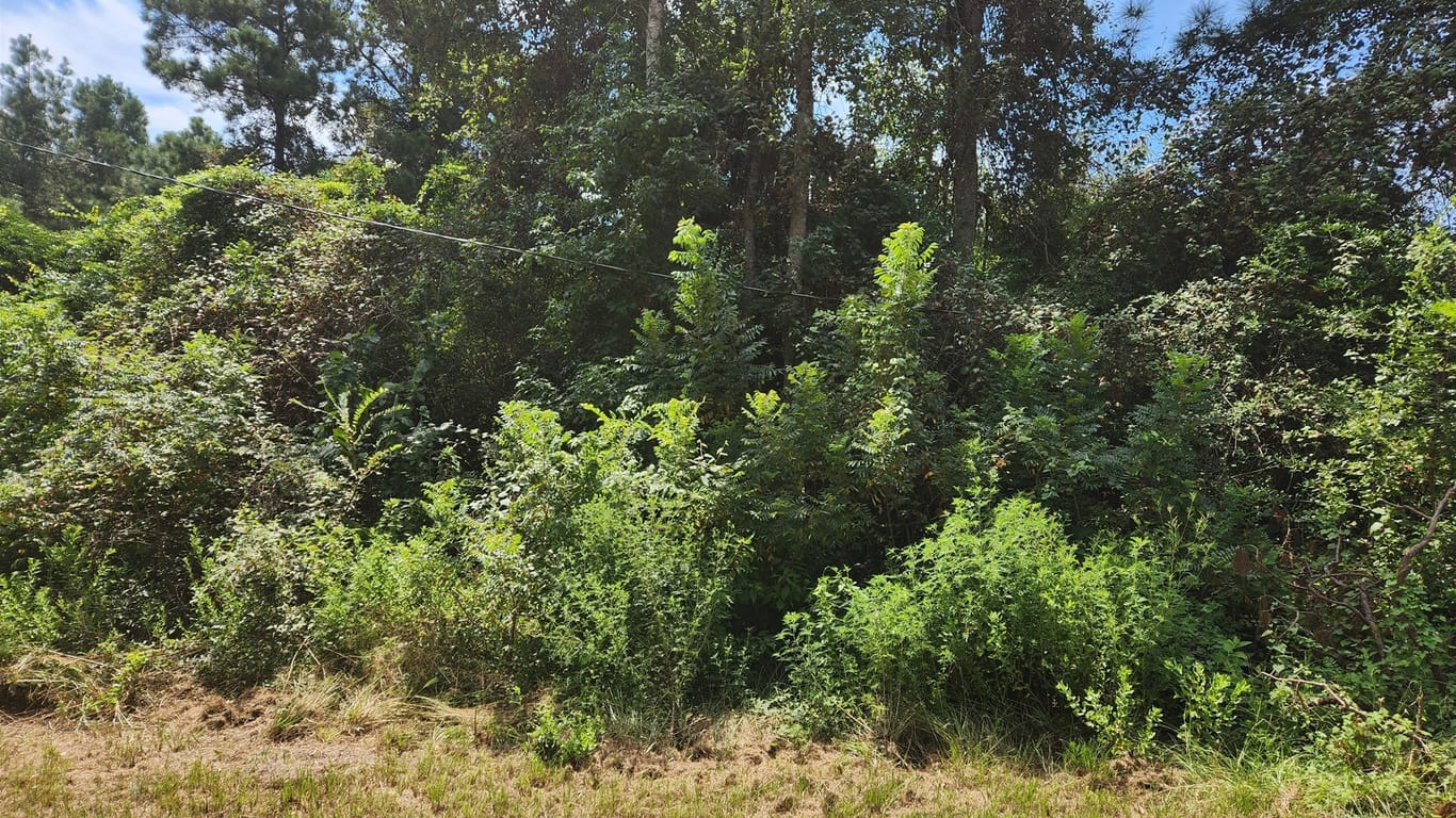 Plantersville null-story, null-bed Lot 26 Mayhaw Lane-idx