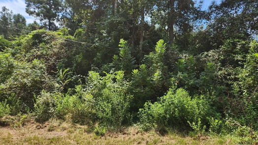 Plantersville null-story, null-bed Lot 26 Mayhaw Lane-idx