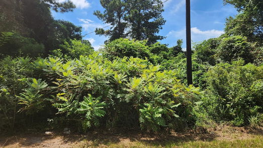 Plantersville null-story, null-bed Lot 26 Mayhaw Lane-idx