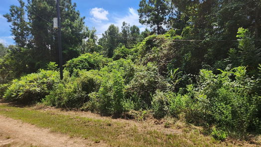 Plantersville null-story, null-bed Lot 26 Mayhaw Lane-idx