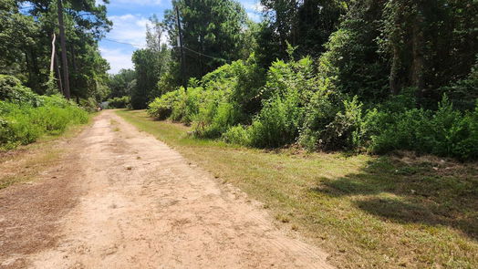 Plantersville null-story, null-bed Lot 26 Mayhaw Lane-idx