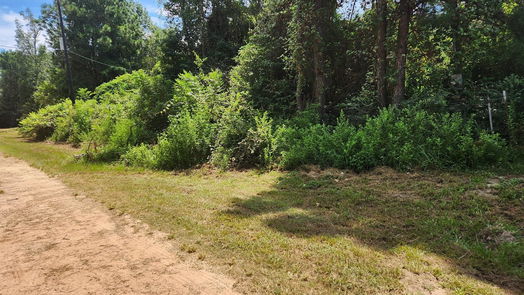 Plantersville null-story, null-bed Lot 26 Mayhaw Lane-idx