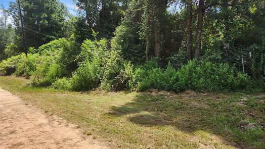 Plantersville null-story, null-bed Lot 26 Mayhaw Lane-idx