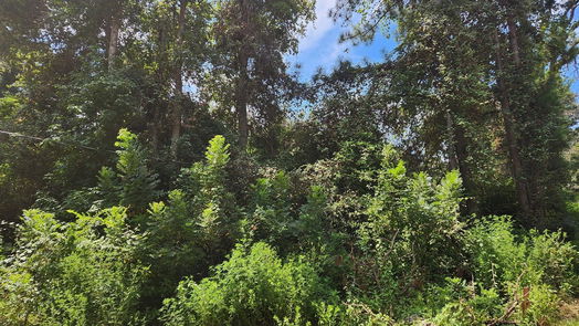Plantersville null-story, null-bed Lot 26 Mayhaw Lane-idx