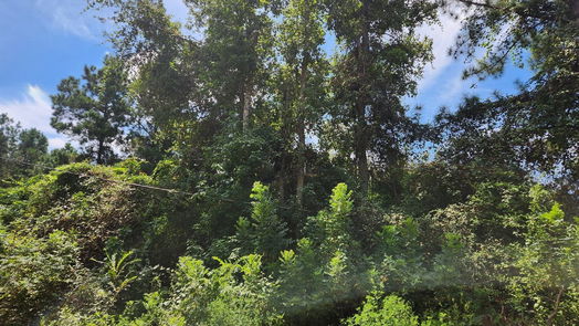 Plantersville null-story, null-bed Lot 26 Mayhaw Lane-idx