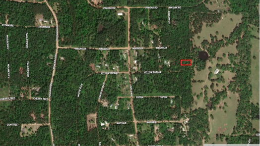 Plantersville null-story, null-bed Lot 17 Yellow Poplar Lane-idx