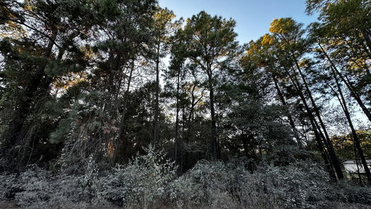 Plantersville null-story, null-bed Lot 1 Live Oak Drive-idx