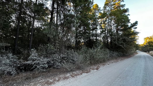 Plantersville null-story, null-bed Lot 1 Live Oak Drive-idx