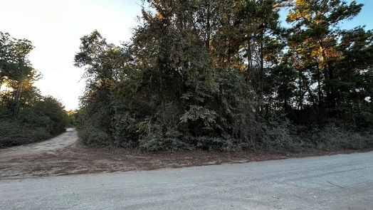 Plantersville null-story, null-bed Lot 2 Live Oak- Drive-idx