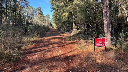Plantersville null-story, null-bed TBD Tawnyberry Lane-idx