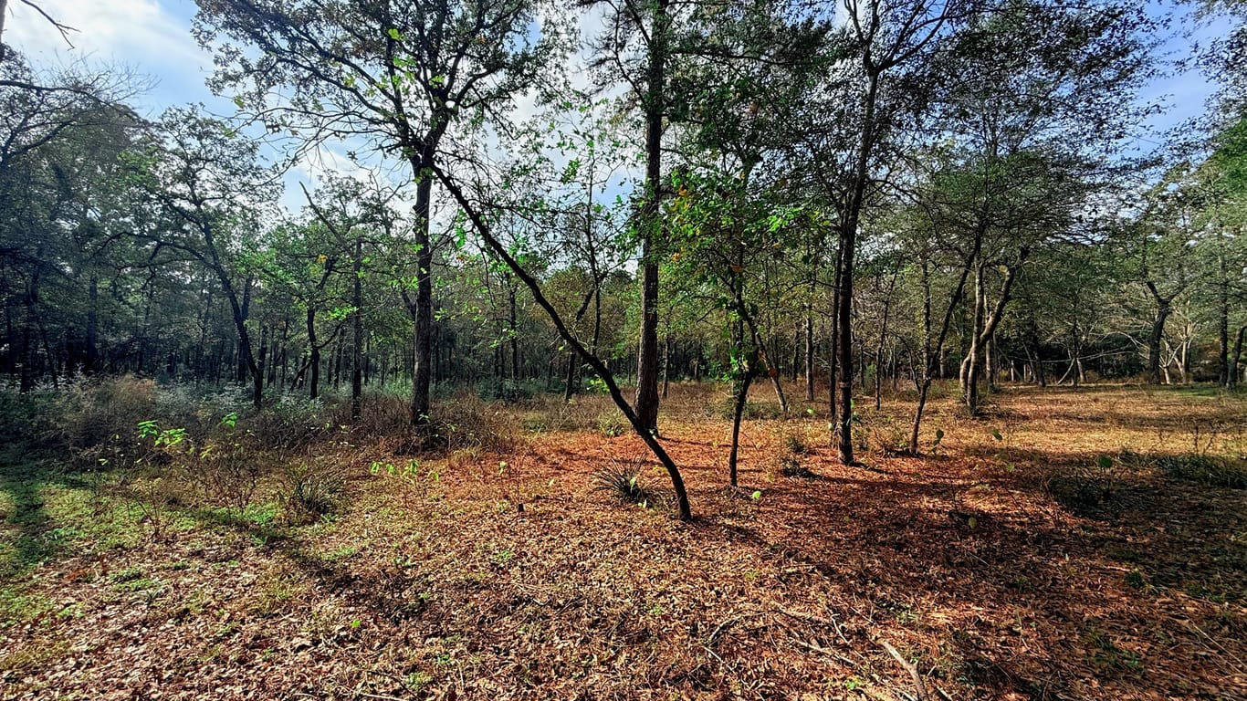 Plantersville null-story, null-bed 0 Serendipity Trail-idx