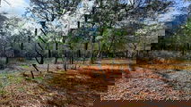 Navasota-2