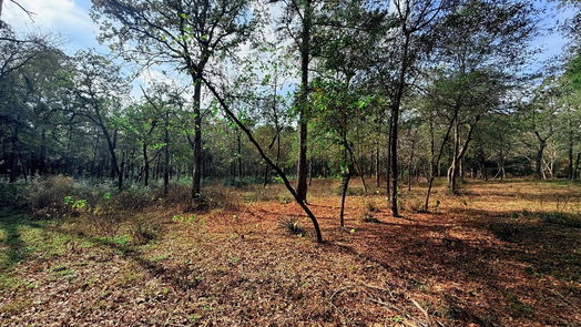 Plantersville null-story, null-bed 0 Serendipity Trail-idx