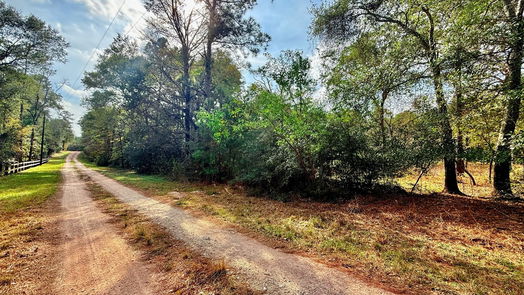 Plantersville null-story, null-bed 0 Serendipity Trail-idx