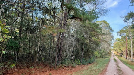 Plantersville null-story, null-bed 0 Serendipity Trail-idx