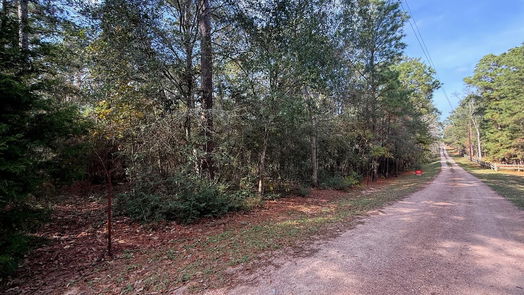 Plantersville null-story, null-bed 0 Serendipity Trail-idx
