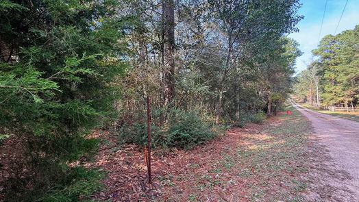Plantersville null-story, null-bed 0 Serendipity Trail-idx