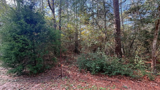Plantersville null-story, null-bed 0 Serendipity Trail-idx
