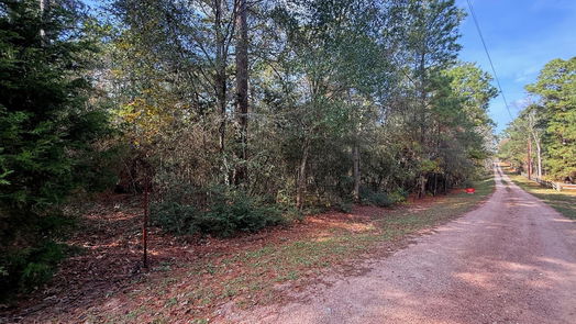 Plantersville null-story, null-bed 0 Serendipity Trail-idx