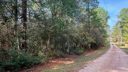 Plantersville null-story, null-bed 0 Serendipity Trail-idx