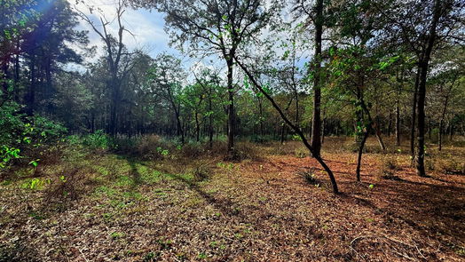 Plantersville null-story, null-bed 0 Serendipity Trail-idx