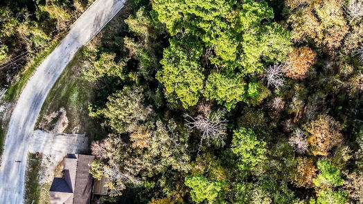 Point Blank 1-story, 3-bed 10 Lagoon Drive-idx