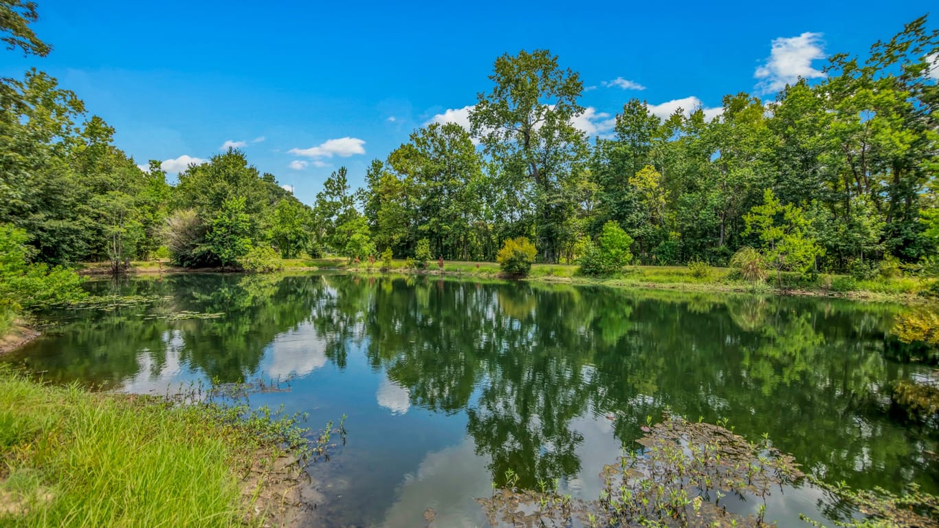 Porter 1-story, 2-bed 19477 FM 1314 Road-idx
