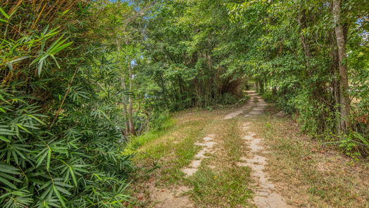 Porter 1-story, 2-bed 19477 FM 1314 Road-idx