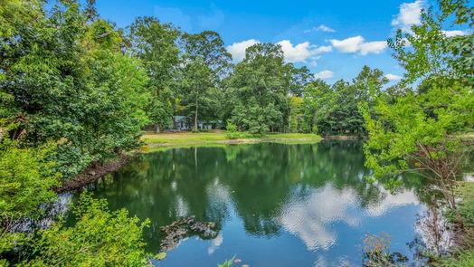 Porter 1-story, 2-bed 19477 FM 1314 Road-idx