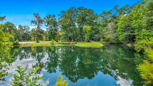 Porter 1-story, 2-bed 19477 FM 1314 Road-idx