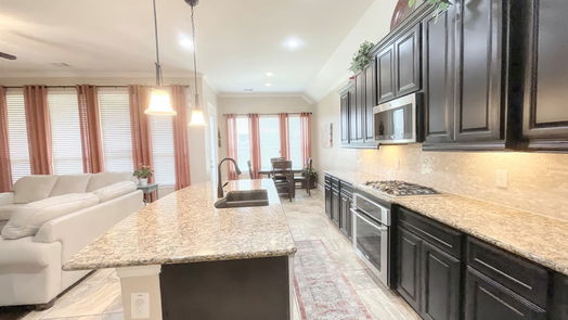 Porter 1-story, 3-bed 21346 Hubbard Run Drive-idx