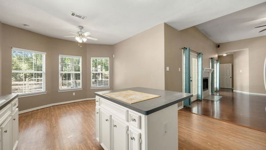 Porter 1-story, 3-bed 19880 N Fork Drive-idx