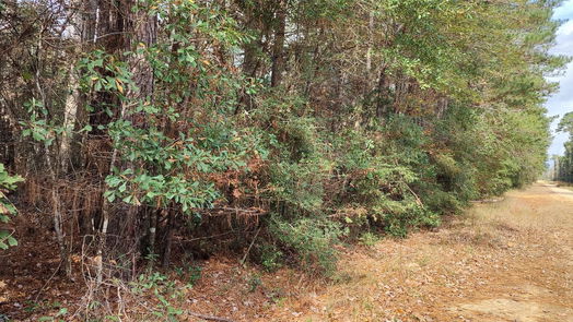 Rye null-story, null-bed 00 Cooper-idx