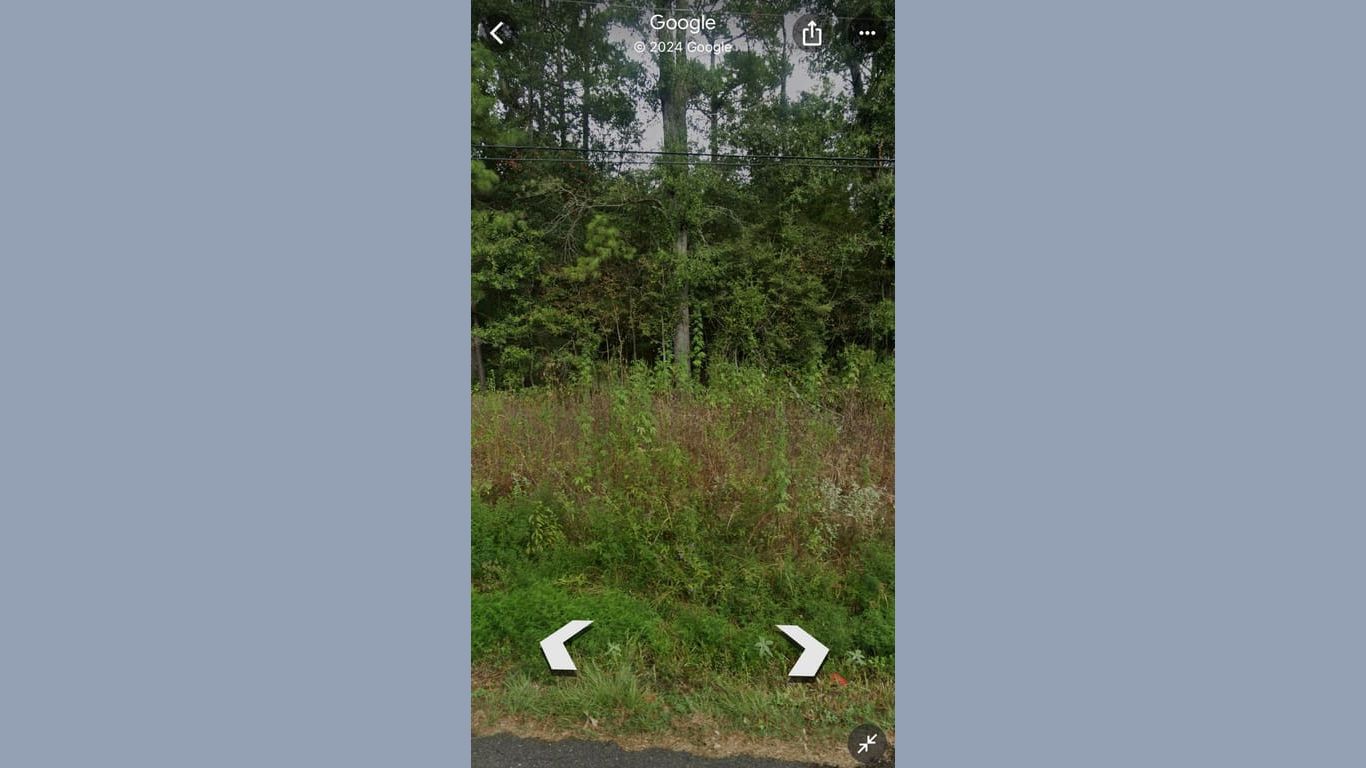 Shepherd null-story, null-bed 0 Dennis Peyton-idx