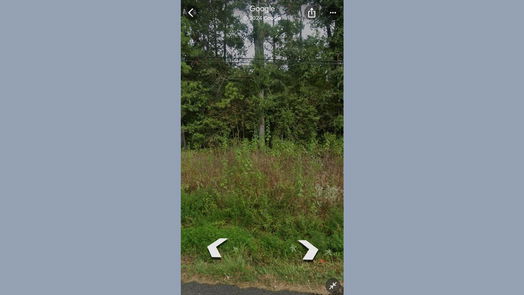 Shepherd null-story, null-bed 0 Dennis Peyton-idx