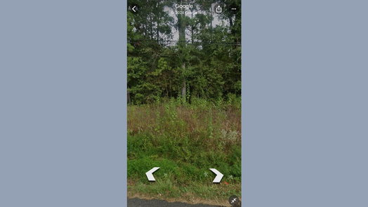 Shepherd null-story, null-bed 0 Dennis Peyton-idx