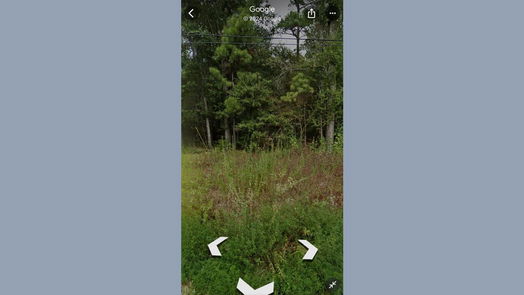 Shepherd null-story, null-bed 0 Dennis Peyton-idx