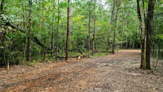 Shepherd null-story, null-bed 90.3 Acres Squirrel Tree Rd-idx