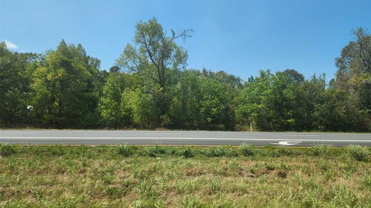 Shepherd null-story, null-bed TBD US Hwy 59 S-idx